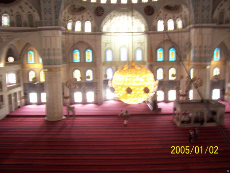 img00049.jpg