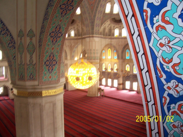 img00050.jpg