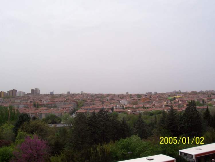 img00064.jpg