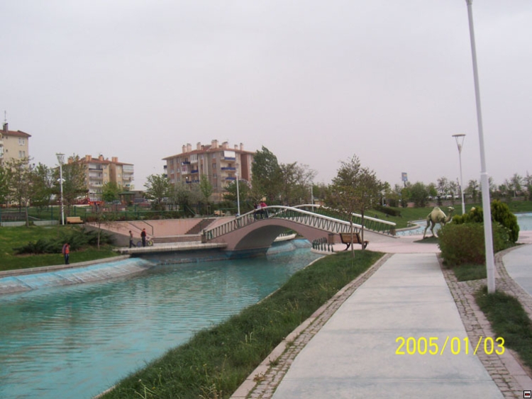 img00102.jpg