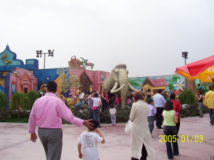 img00103.jpg