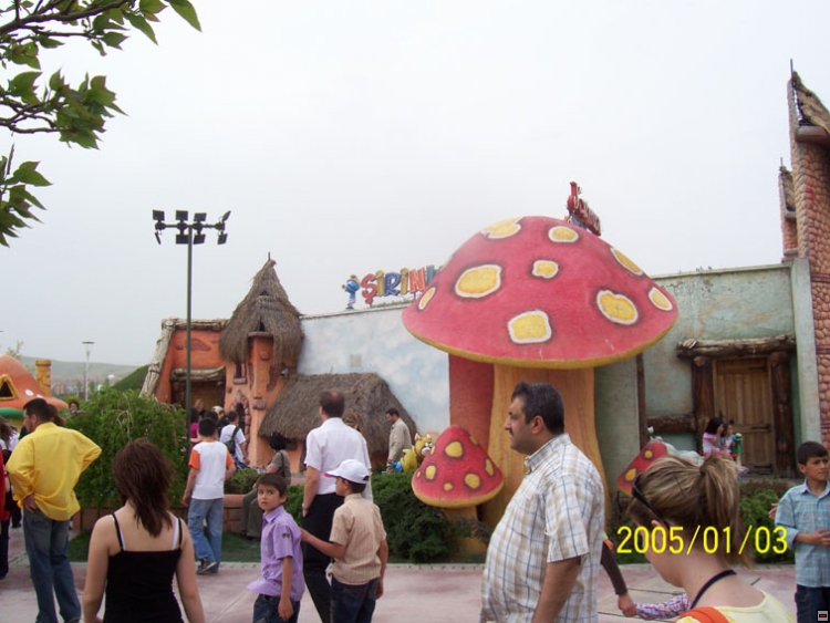 img00110.jpg