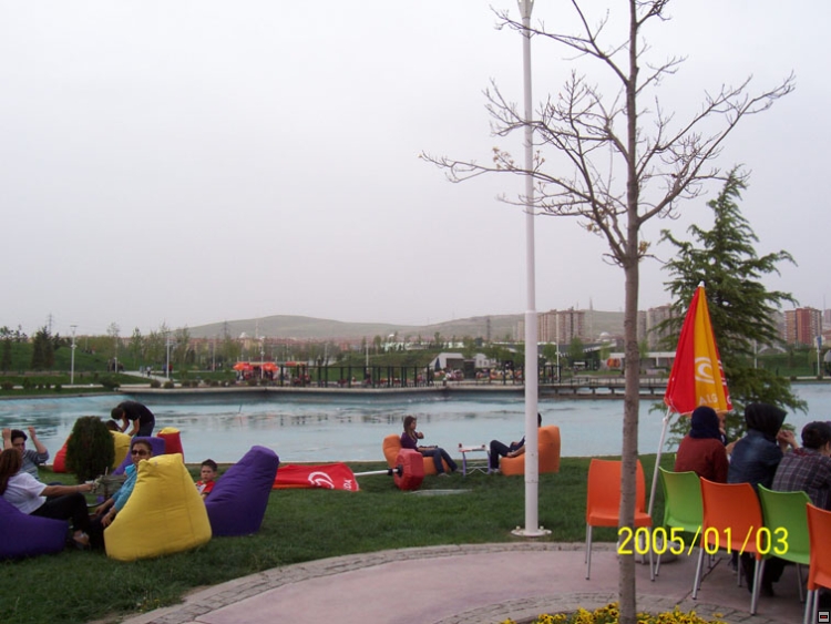 img00115.jpg