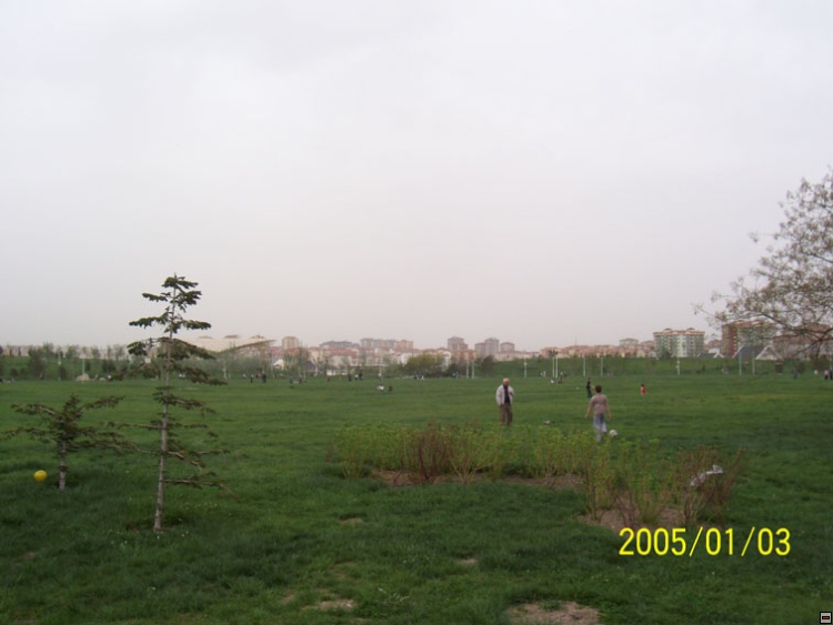 img00116.jpg