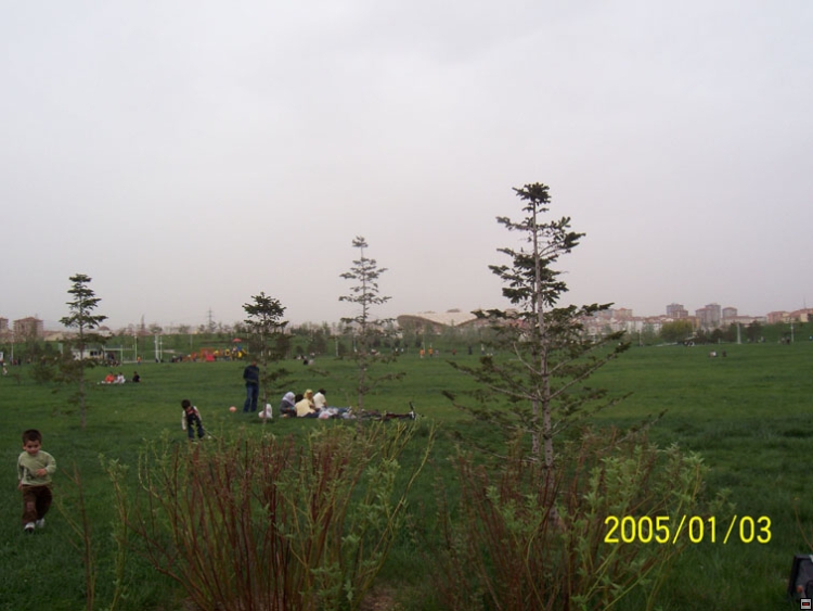 img00118.jpg