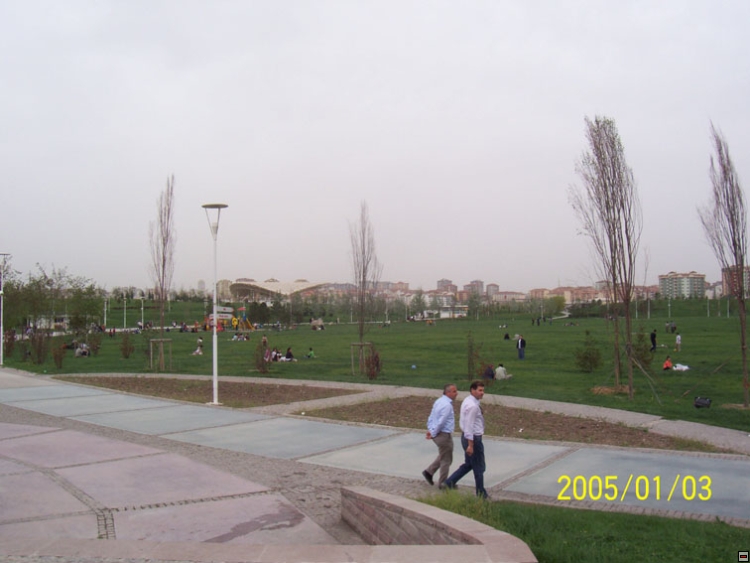 img00119.jpg
