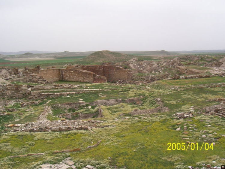 img00120.jpg