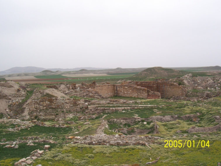 img00123.jpg