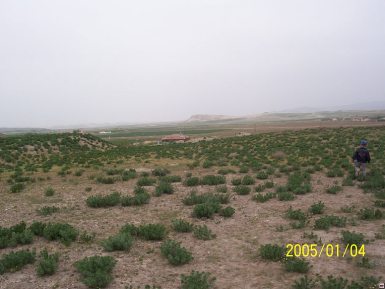 img00124.jpg