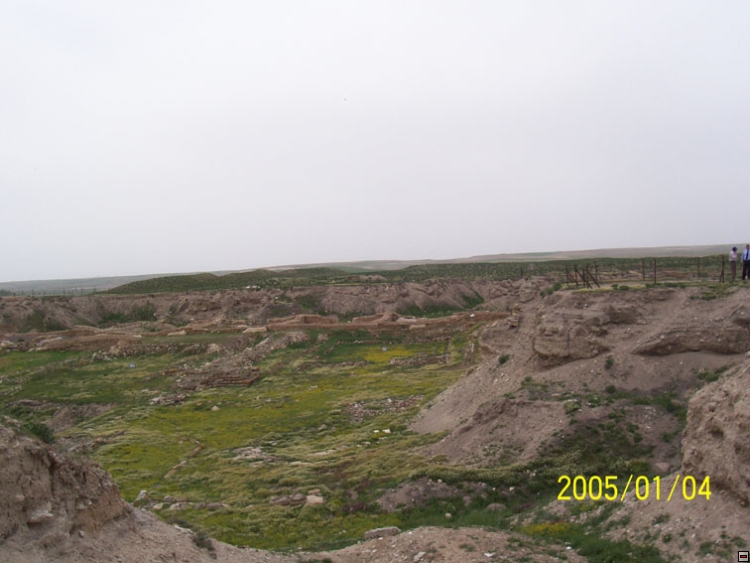 img00125.jpg