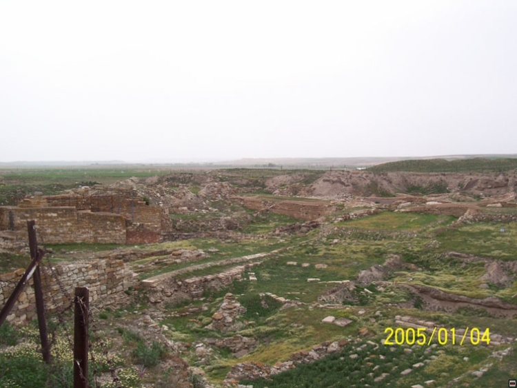 img00126.jpg