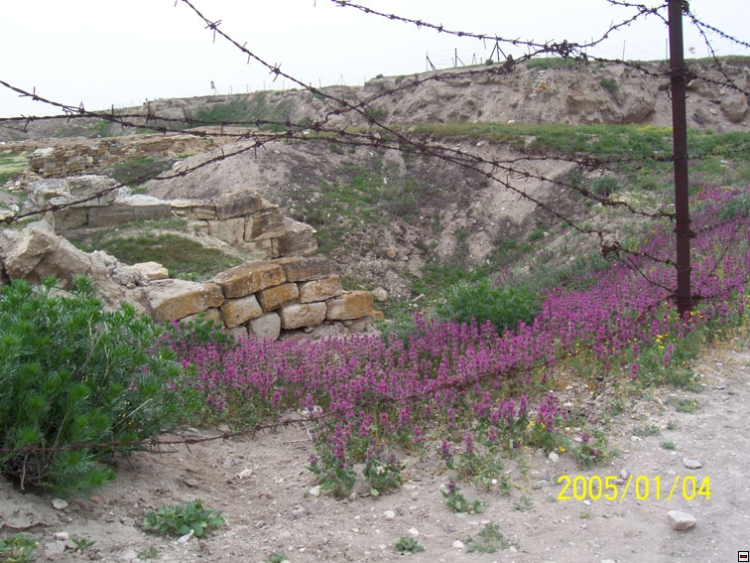 img00133.jpg