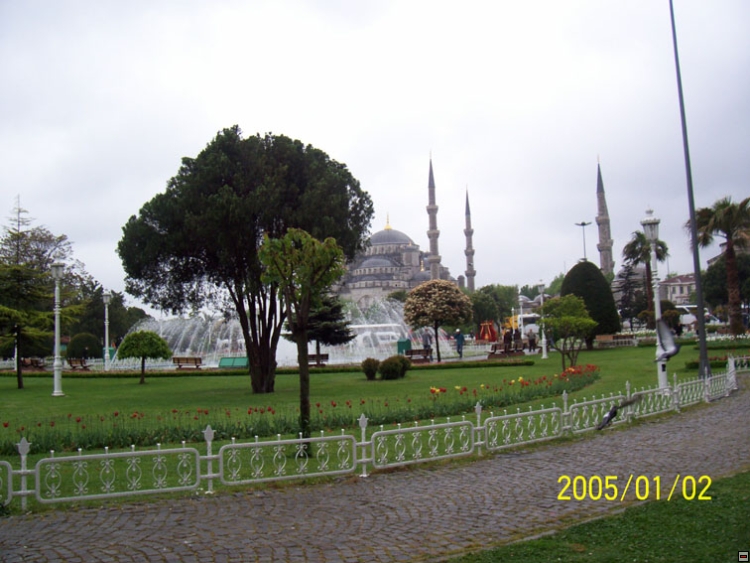 img00140.jpg