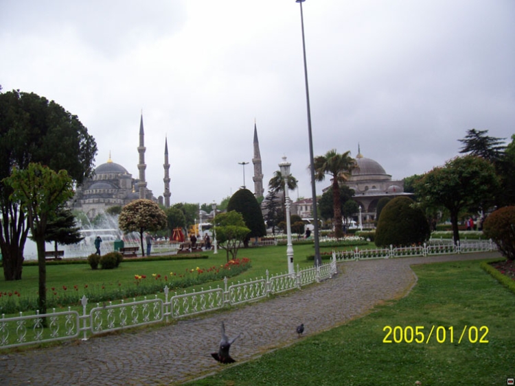 img00141.jpg