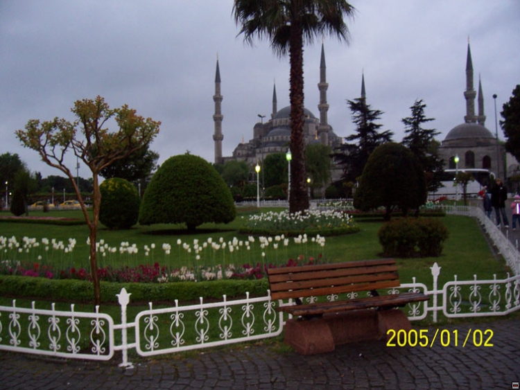 img00142.jpg