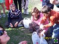 thn00036.jpg