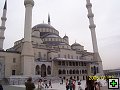 thn00043.jpg