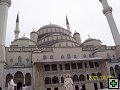 thn00044.jpg