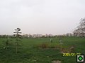 thn00116.jpg