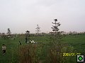thn00118.jpg