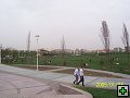 thn00119.jpg