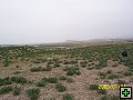 thn00124.jpg
