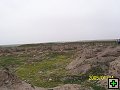 thn00125.jpg