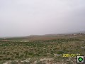 thn00128.jpg
