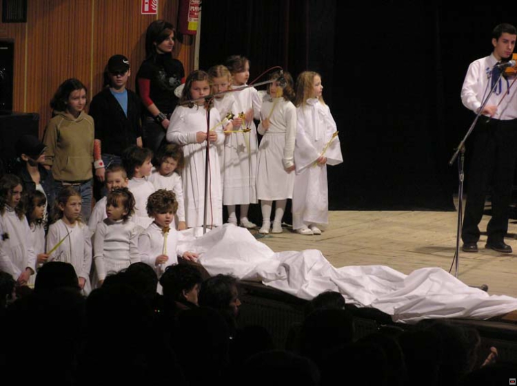 img00081.jpg