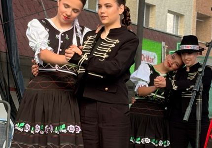 vlny