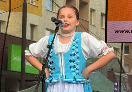 vlny