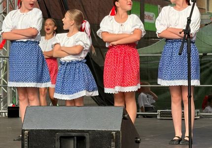 vlny