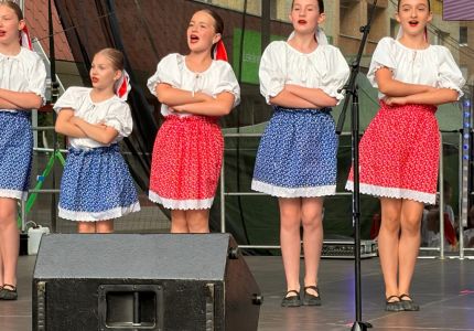 vlny