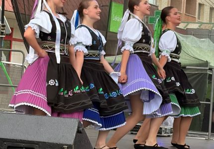 vlny